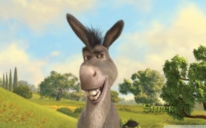 Donkey
